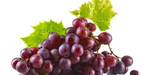 Resveratrol a gény dlhovekosti